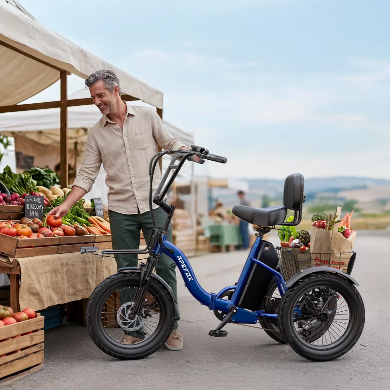 APEFOX RH30 kokoontaitettava sähkötricycle-pyörä takakorilla