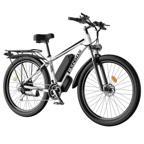 FENGQS Q8 sähköpyörä, 750 W moottori, 48 V 17,5 Ah 50 km/h